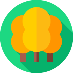 Maple icon