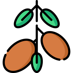 argan icon