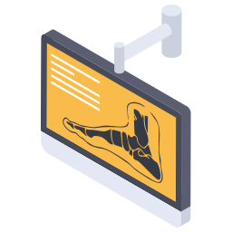 Anatomy icon