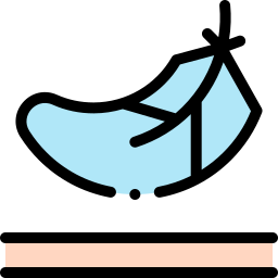 Feather icon