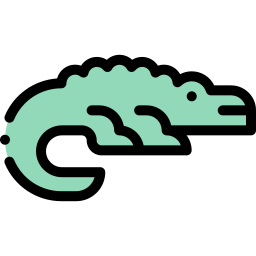 Crocodile icon