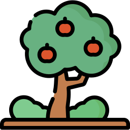 Árbol de frutas icono