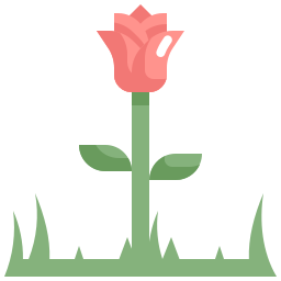 rose icon