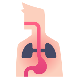 Internal icon