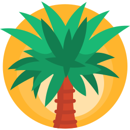 Palm tree icon