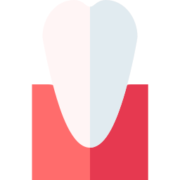 Incisor icon