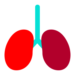 Lungs icon