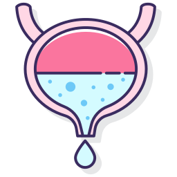 Bladder icon