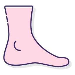 Foot icon