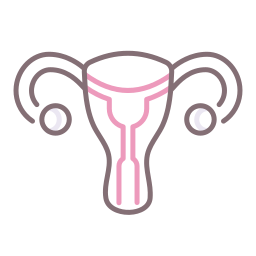 Uterus icon