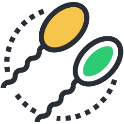 células de la esperma icono