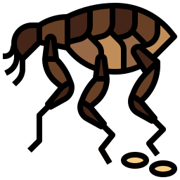 pulga icono