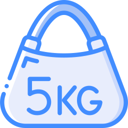 handgepäck icon