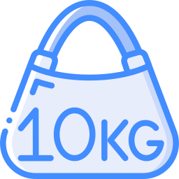 handgepäck icon