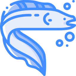 魚 icon