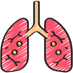 sistema respiratorio icono