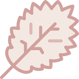 Leaf icon