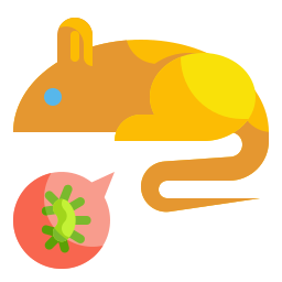 szczury ikona
