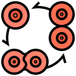divisione cellulare icona
