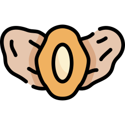 Dates icon