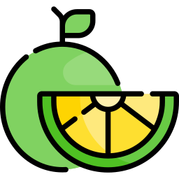 Lime icon