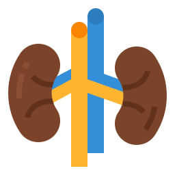 Kidney icon