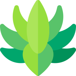 Agave icon