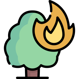 Árbol ardiente icono