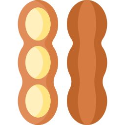Peanuts icon