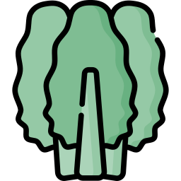 Chard icon