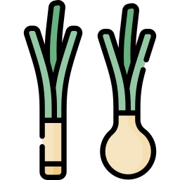 Leek icon