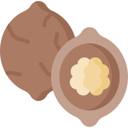 грецкий орех иконка