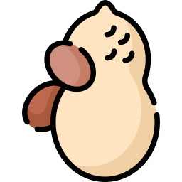 Peanut icon