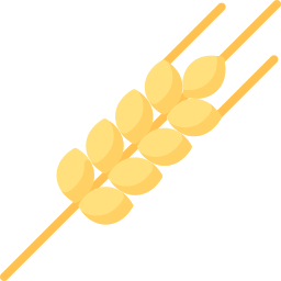 roślina pszenicy ikona