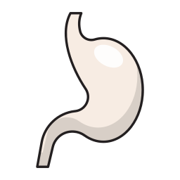 digestivo icono