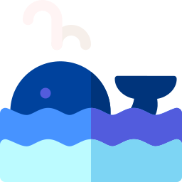 Whale icon