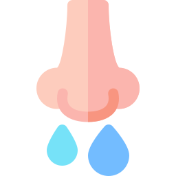 鼻水 icon