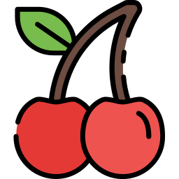 Cherries icon