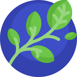 Branch icon