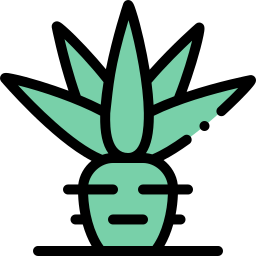 agave icon