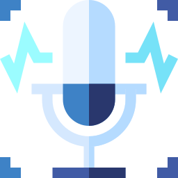 Voice recognition icon