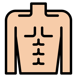 cuerpo icono