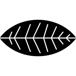 부시 대통령의 잎 icon