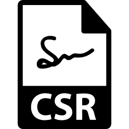 csr 파일 형식 icon