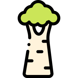바오밥 icon