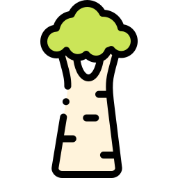 baobab icona