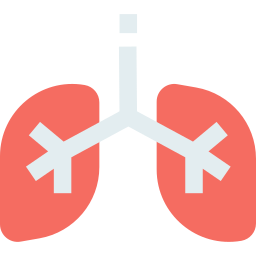 Lungs icon