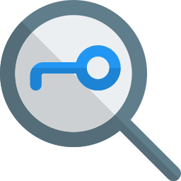 Search option icon