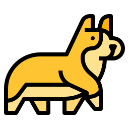 corgi icon