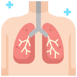 Lungs icon